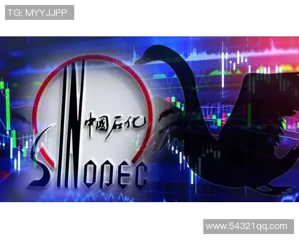 高科通布里易三仓对决黑蝎子精彩赛事回顾与分析